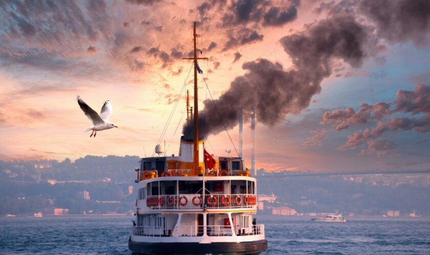 Harbor Current Foundation Inc.